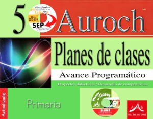 Plan Clases 2012 5 Plan de Clases 5° (2012)