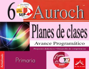 Plan Clases 2012 6 Plan de Clases 6° (2012)